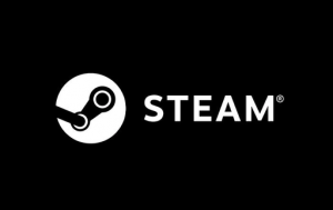 Steam ES 50 EUR